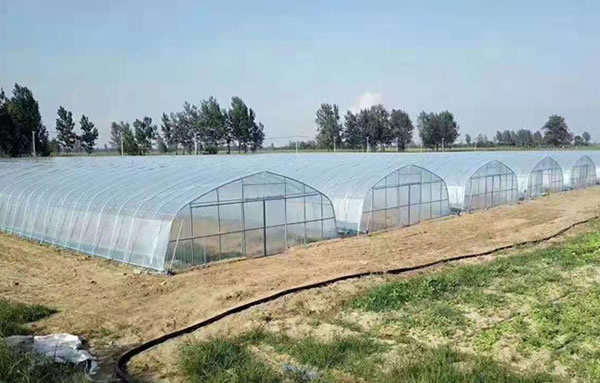 必发7790(中国区)电子集团-线上平台登录入口