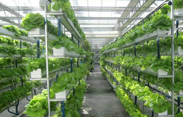 必发7790(中国区)电子集团-线上平台登录入口